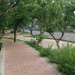 Bicycle Path